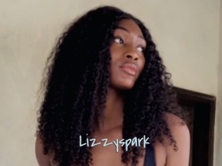 Lizzyspark