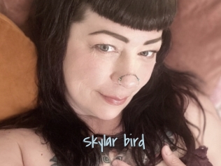 Skylar_bird