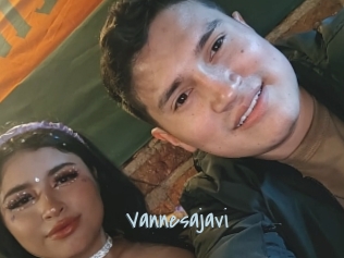 Vannesajavi